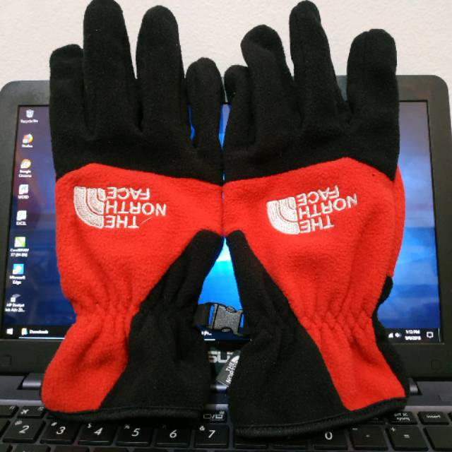 Sarung tangan Polar tnf