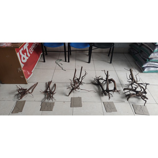 Kayu Aquascape Akar Rasamala Size S Dekorasi Hiasan untuk Aquarium 1pc