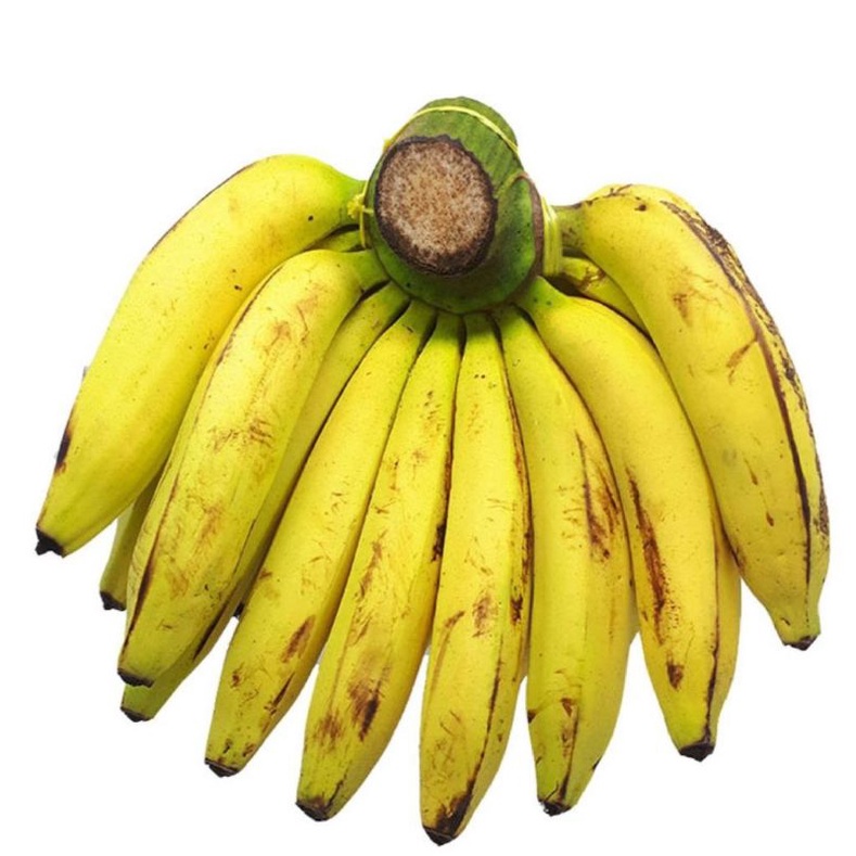 

Pisang Ambon manis 1 sisir surga kebutuhan ku