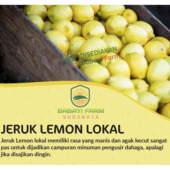 

Jeruk Lemon Lokal Segar 500 gr / 1 kg