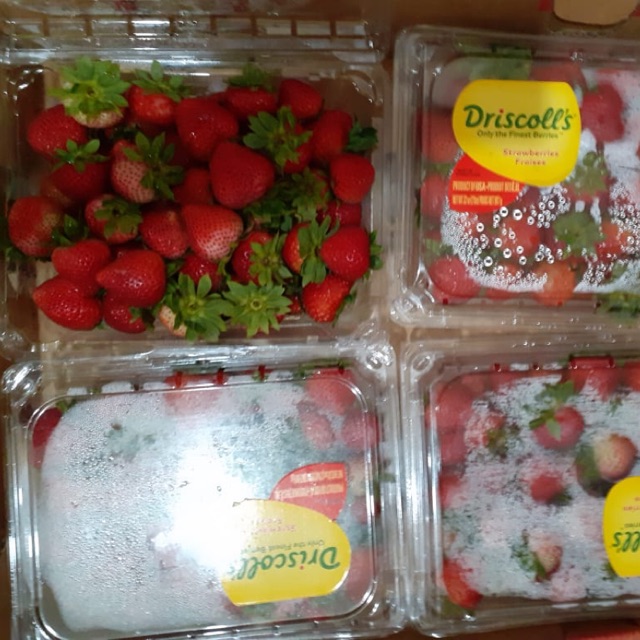 

Driscoll Strawberry