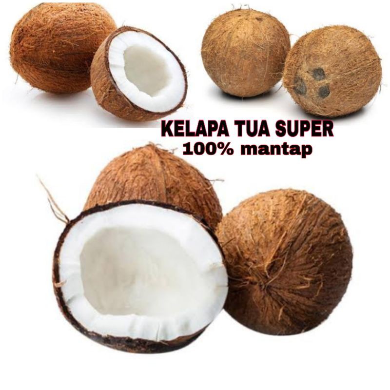 Kelapa Tua Bulat Utuh Kelapa Tua Parut Kelapa Tua Sudah Dikupas Kelapa Shopee Indonesia
