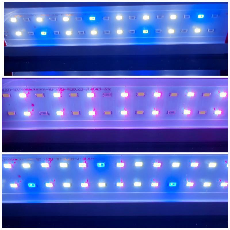 LAMPU LED AQUARIUM AQUASCAPE SAKKAI PRO P 100