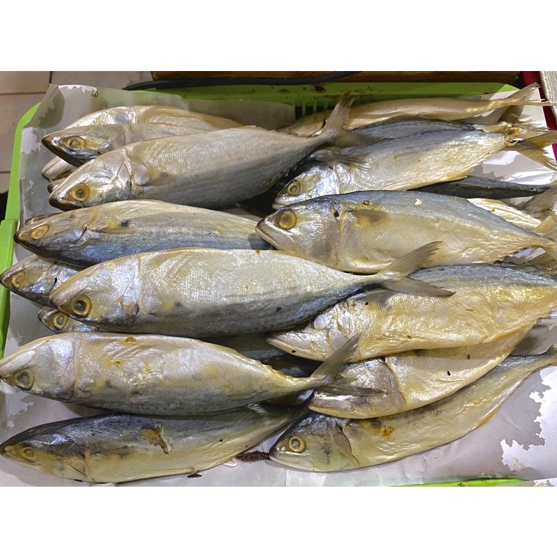 

Ikan Asin Peda Putih - Sedang 250 gram