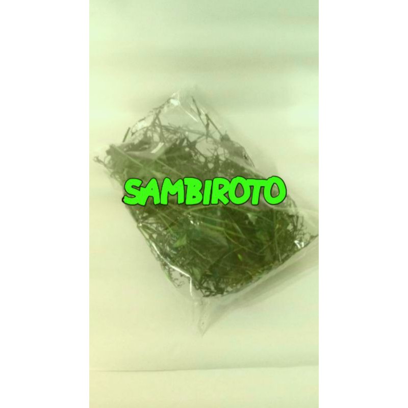 

Sambiroto kering