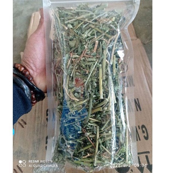 

Daun kate mas kering penurun berat badan per 100grm