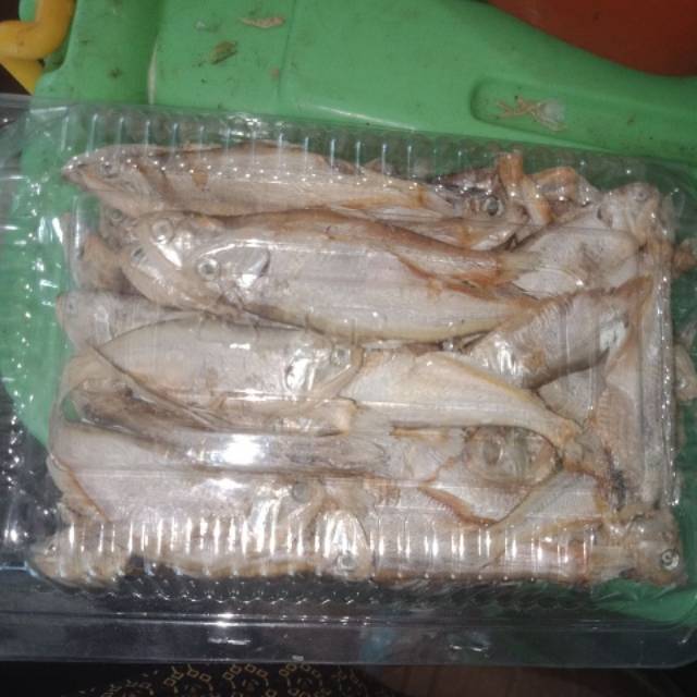 

Ikan Perak-Perak