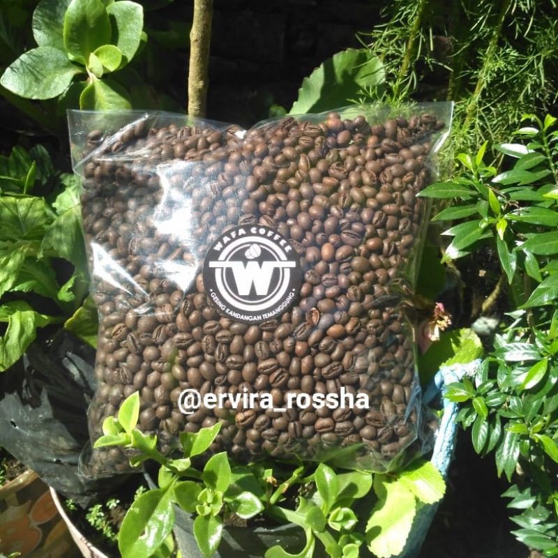 

WAFA COFFEE ROASTBEAN ROBUSTA KOPI LANANG (1kg)