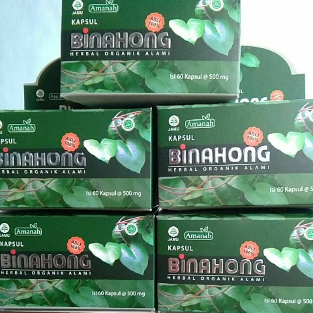 BINAHONG KAPSUL [AMANAH] - OBAT HERBAL REUMATIK