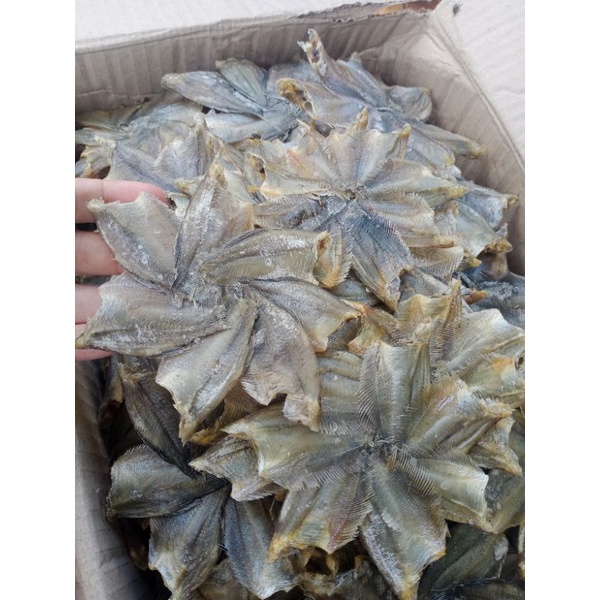 

ikan asin Sapat bintang tanpa kepala 1kg