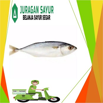 

Ikan Kembung 1 kg