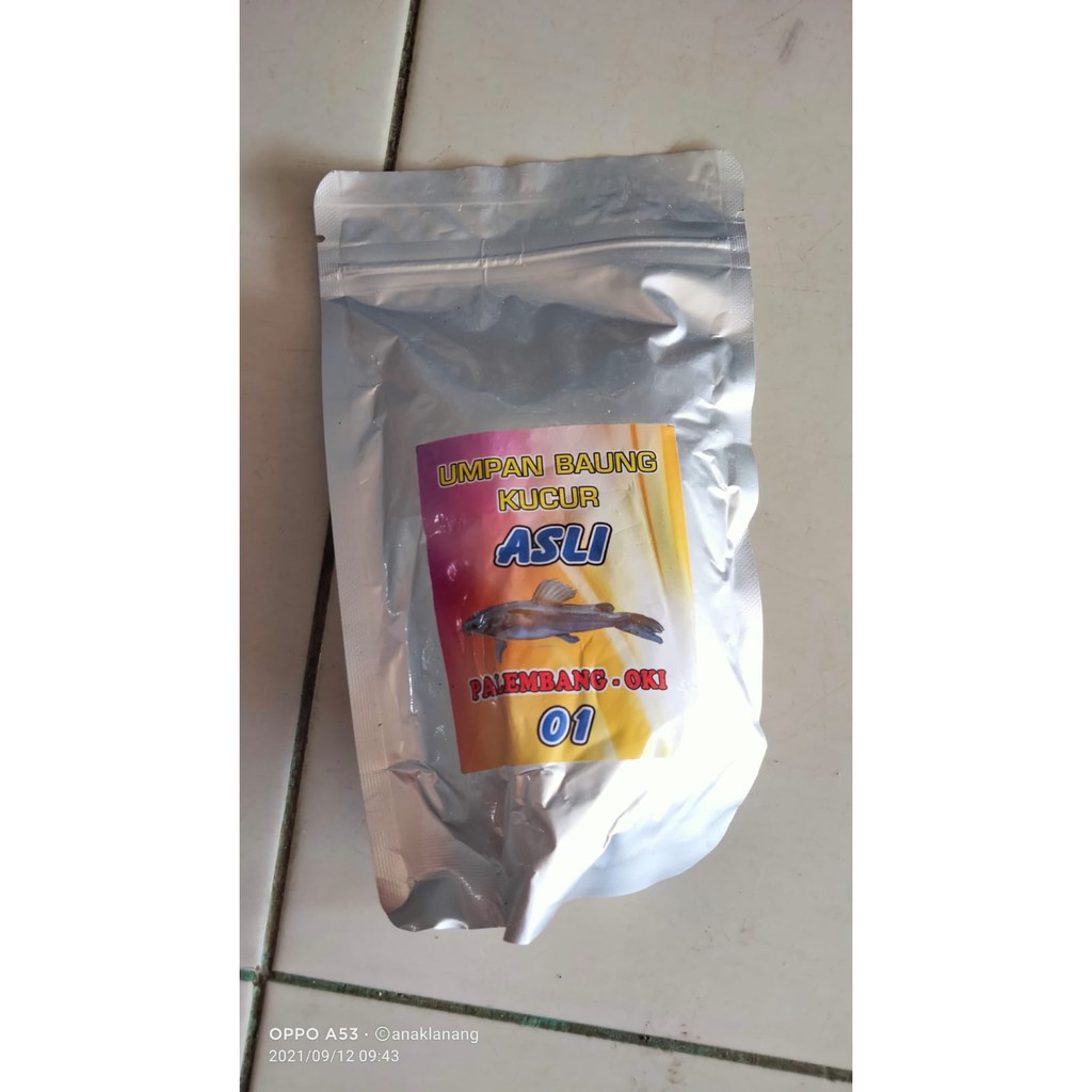 Umpan Baung Kucur Asli