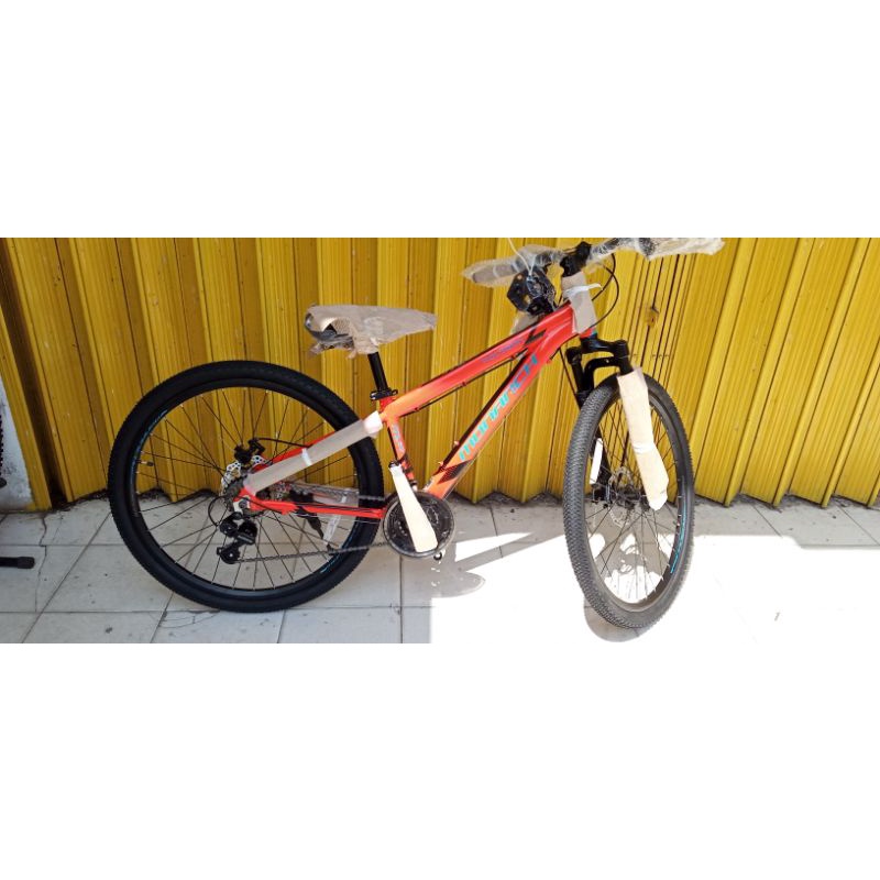 Sepeda Polygon Monarch MJR