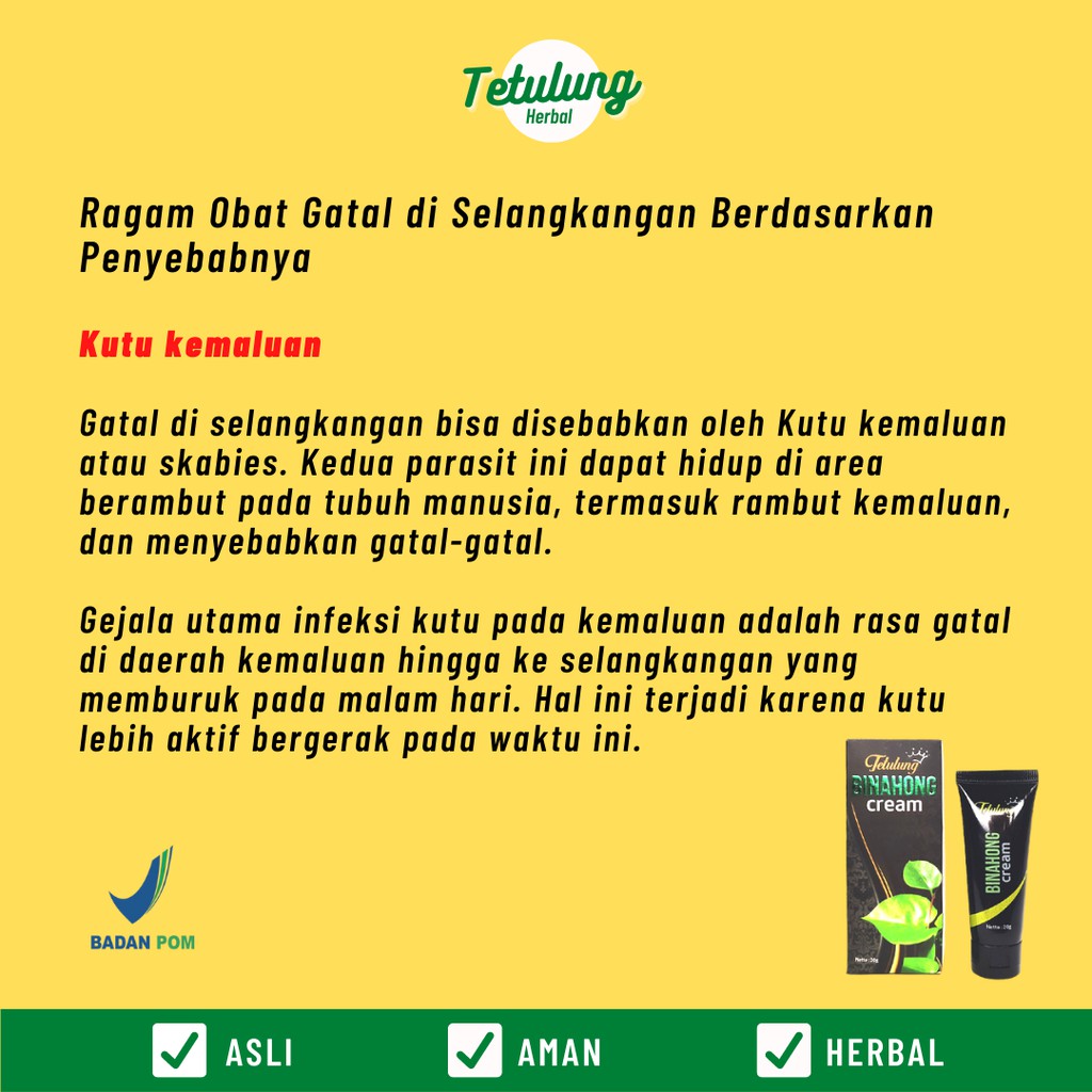 Obat Salep Gatal Selangkangan Kemaluan Binahong - Gatel Jamur Kulit Ruam Kelamin 20gr [BPOM]-2