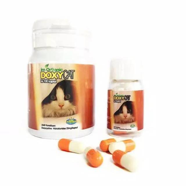 Doxycat obat flu kucing antibiotik