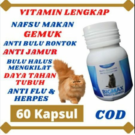 VITAMIN KUCING BIGMAX PENGGEMUK KUCING  OBAT KUCING CAT FOOD MAKANAN KUCING NAFSU MAKAN KUCING