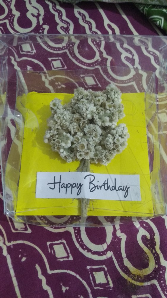 Mini Buket Edelweis//sovernir//giff Box//