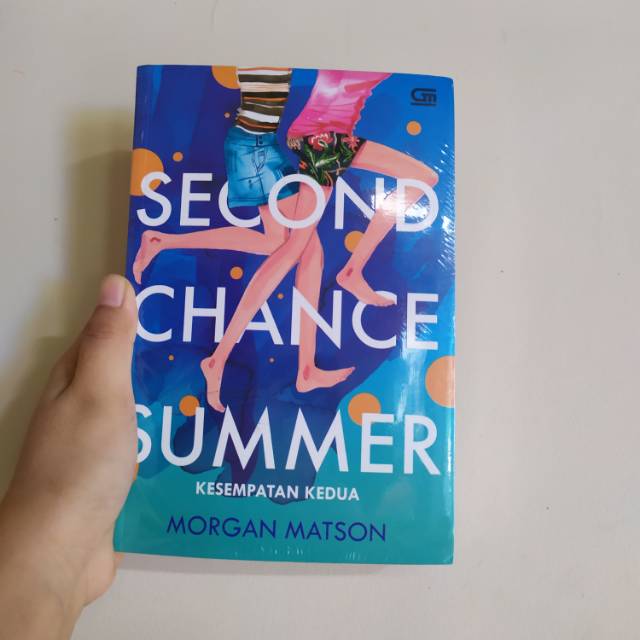 Novel Second Chance Summer