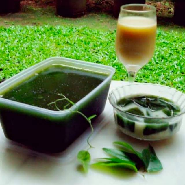 

Cincau Hijau 1 liter