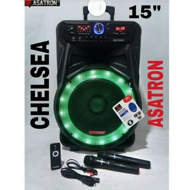 Speaker Astron Chelsea 15in