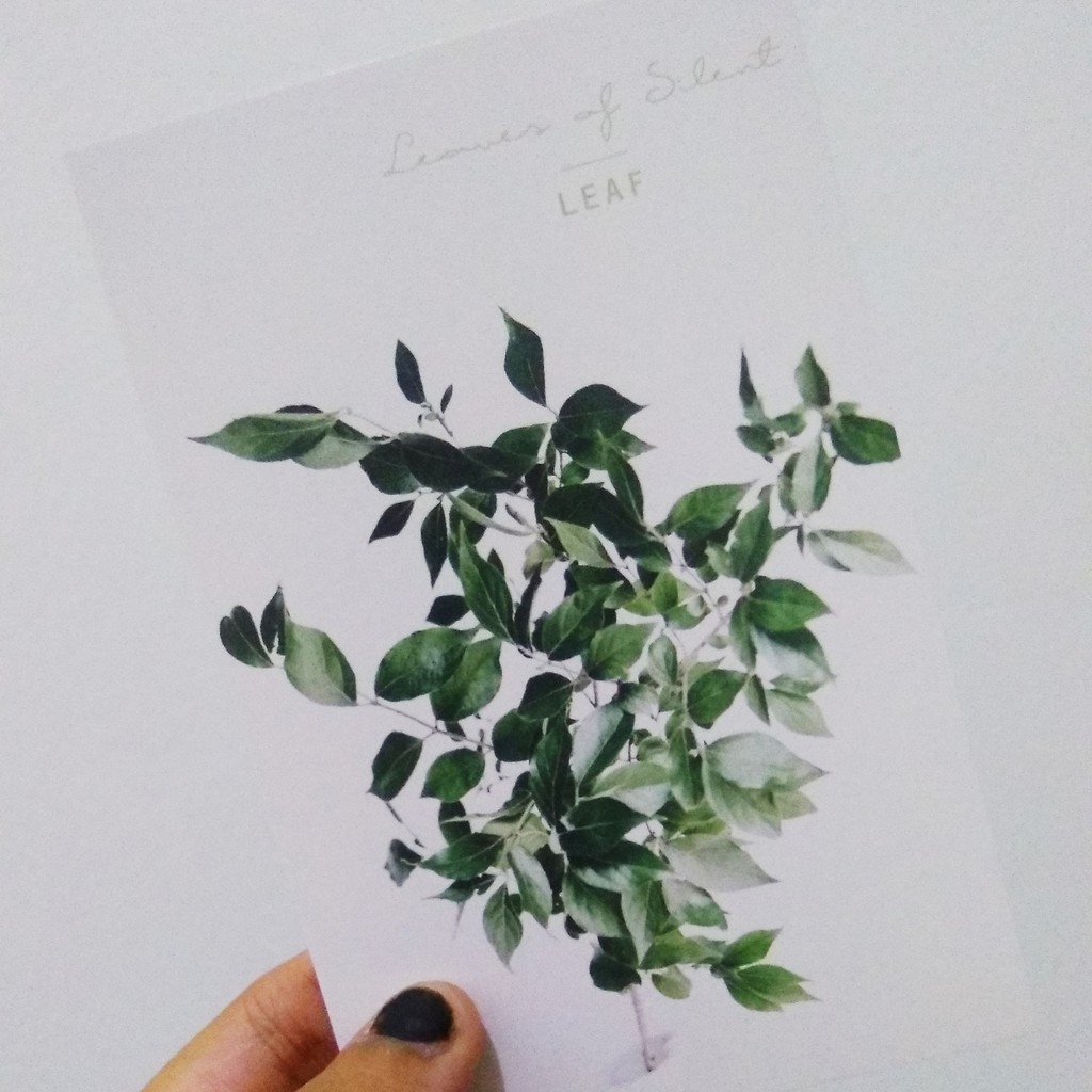 Kartu Pos Postcard Leaf Daun Random