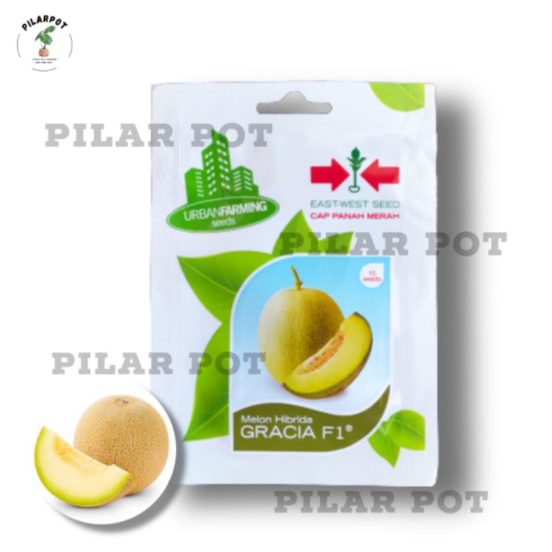 benih bibit melon hibrida gracia f1 cap panah merah - MELON GRACIA F1