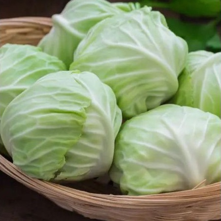

Kol kubis segar 500gr