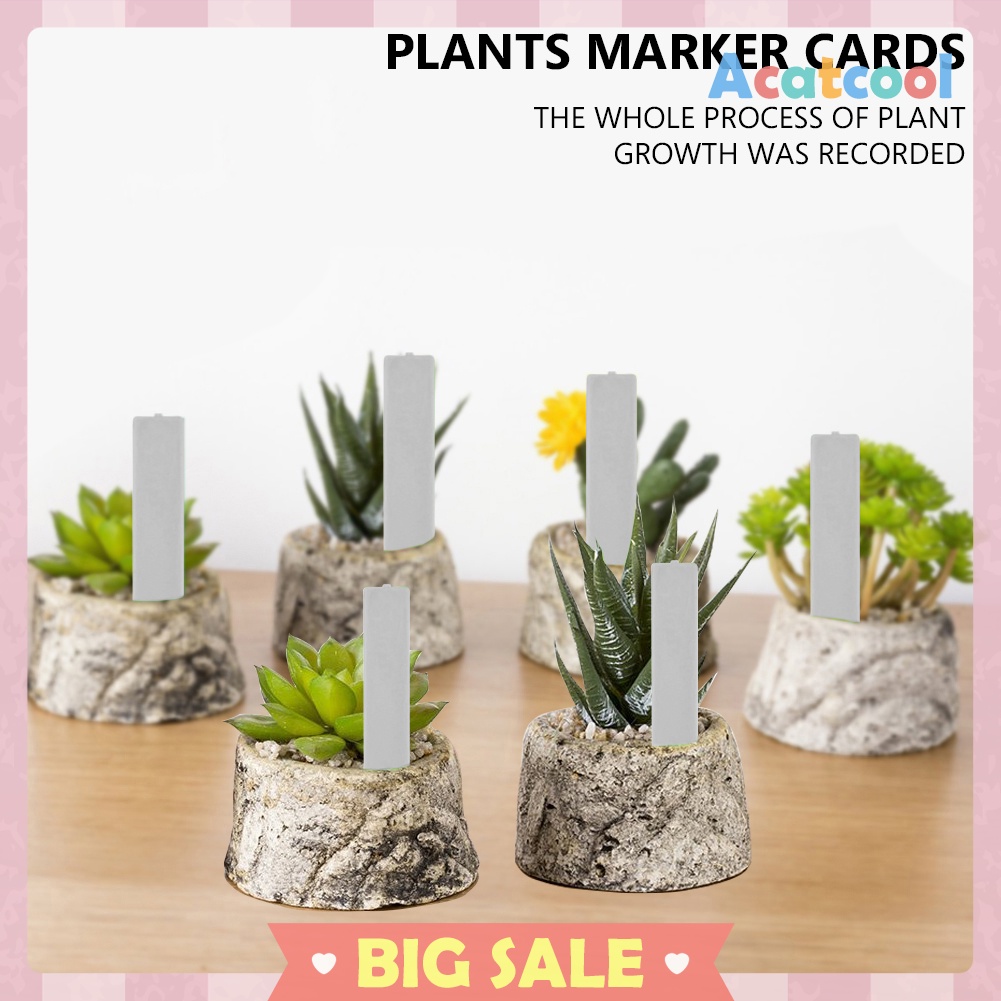 100pcs Plant Labels Plant Tags Stakes Garden Flower Pots Nursery Markers