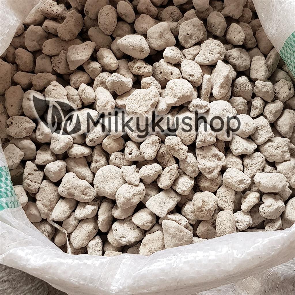 BATU APUNG SEDANG - PUMICE STONE AQUARIUM FILTER