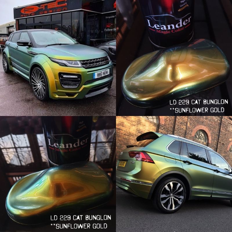 cat bunglon chameleon Sunflower gold Leander