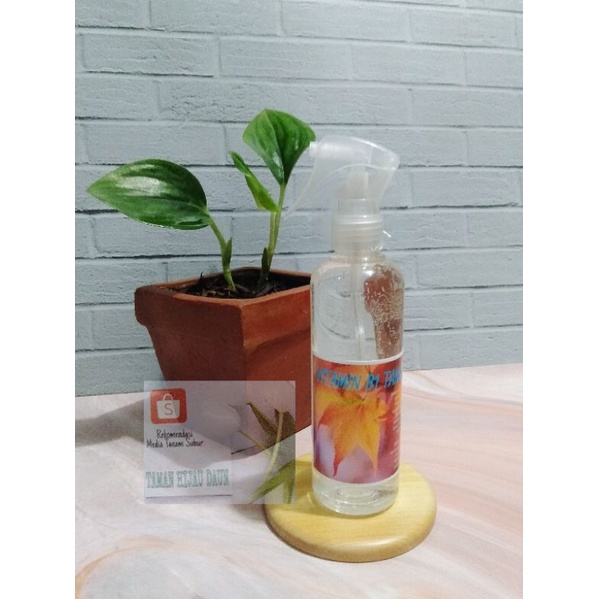 Vitamin B1 Tanaman hormon untuk pertumbuhan tanaman