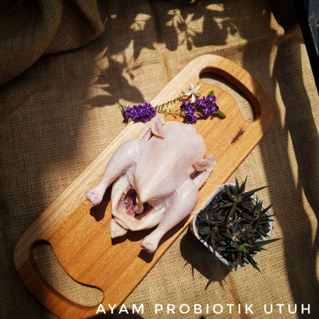 

AYAM PROBIOTIK CIPANGERAN 500-600 gram