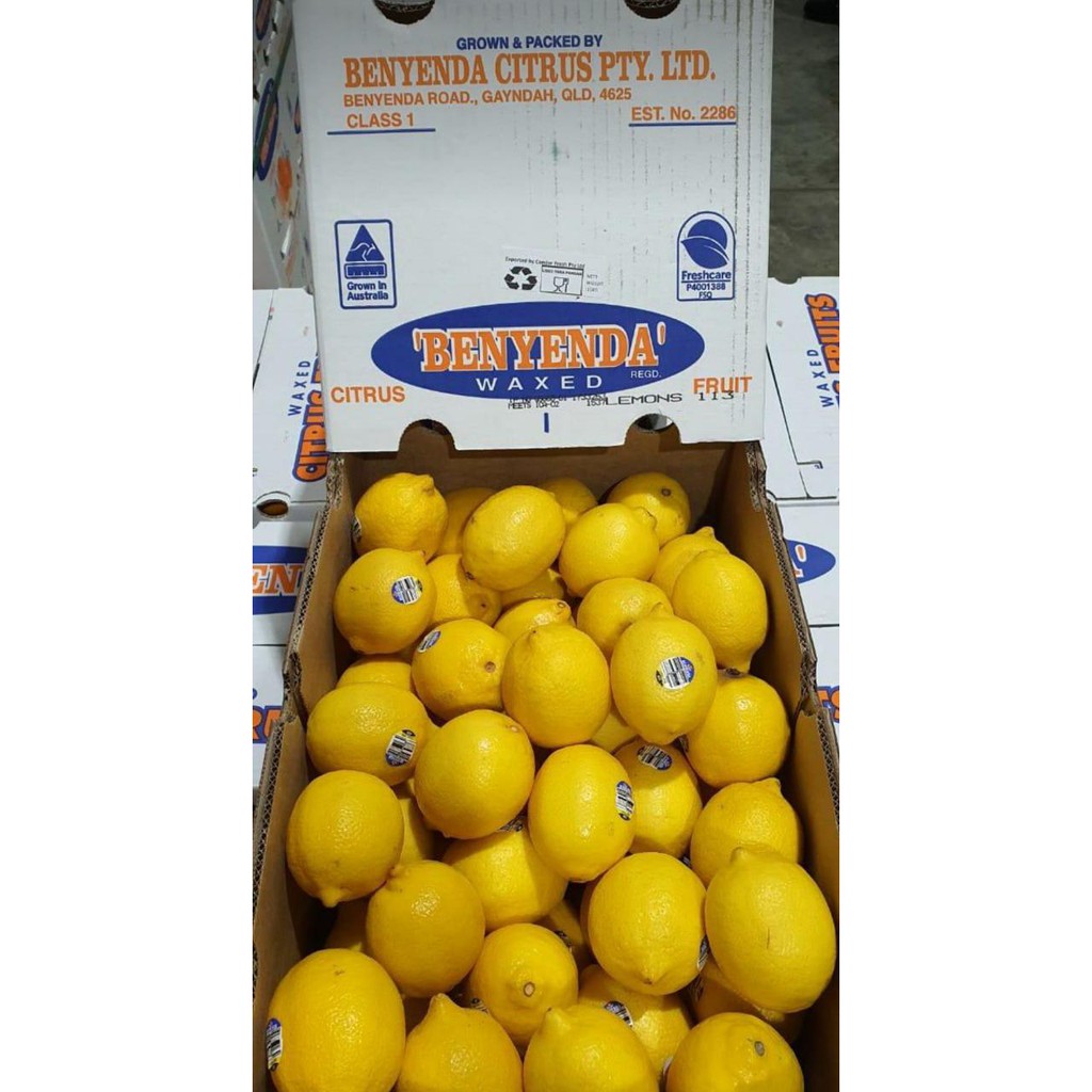 Lemon Benyenda Citrus Australia 1 Dus (14 Kg) Fresh Import
