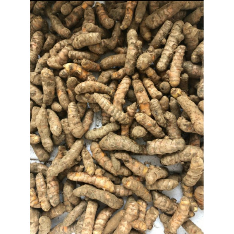 

Kunyit Kuning Segar 1000gr/1kg