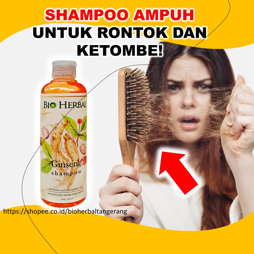 Sampo Rontok Parah Dan Ketombe Penyubur Penumbuh Rambut Ginseng Paling Ampuh BPOM 250 ml B1Q