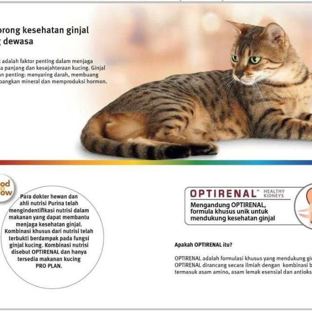 Proplan Cat Adult Chicken With Optirenal 7kg Shopee Indonesia