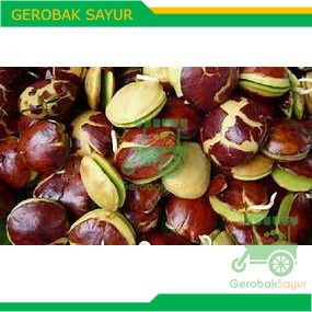 

Jengkol 500 g