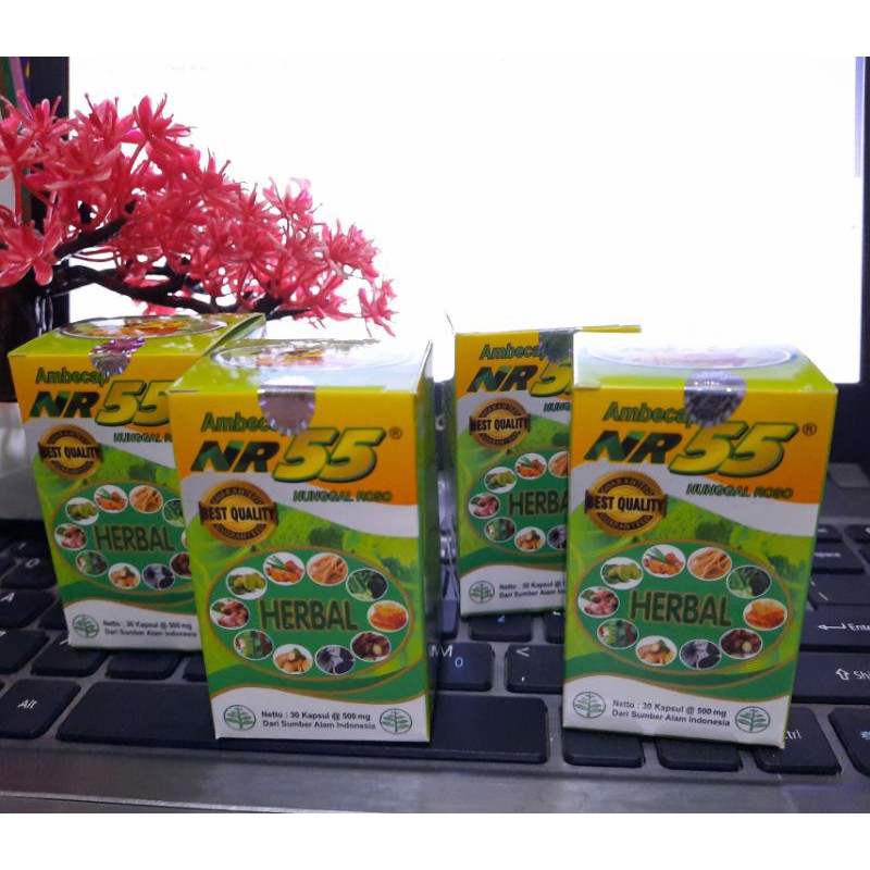 [ GROSIR ] Ambecap NR55 [BAYAR DITEMPAT] harga grosir
