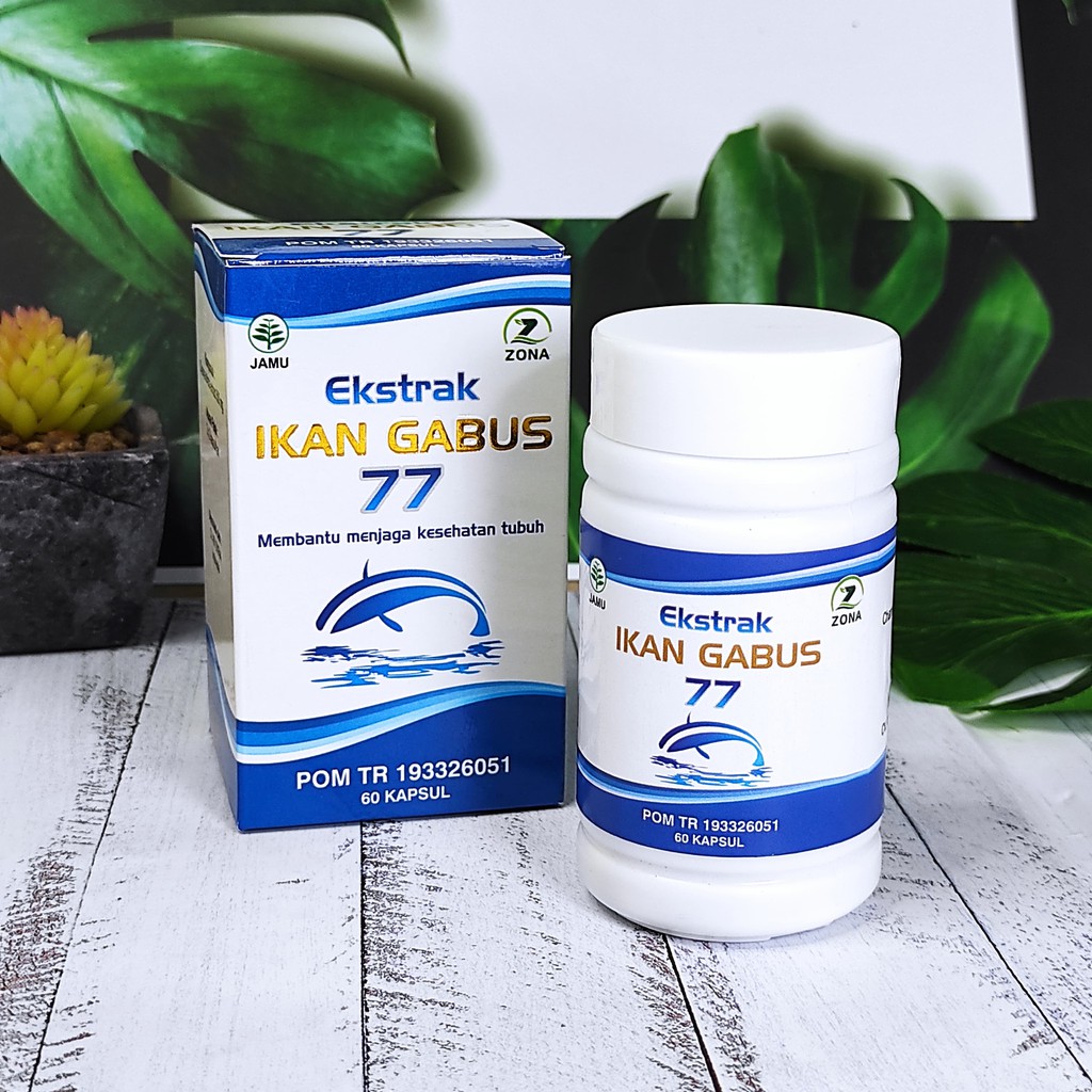 

Ektrak Ikan Gabus 77 60 kaspul