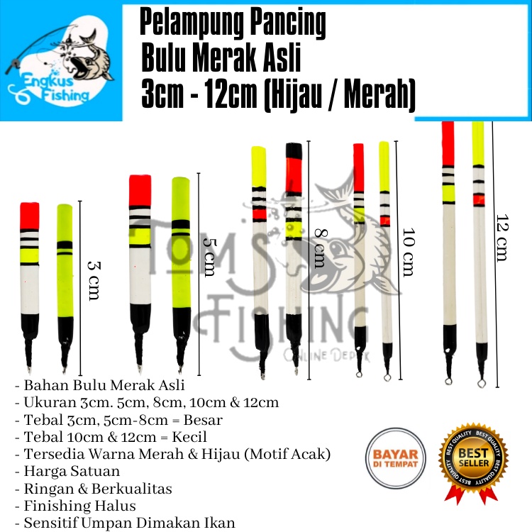 Pelampung Pumbul Pancing Bulu Merak Asli 3cm - 12cm (Merah / Hijau) Original Murah - Engkus Fishing