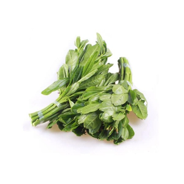 

Daun Gingseng Fresh 1kg