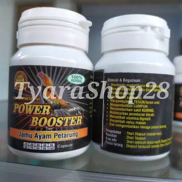 POWER BOOSTER - POWER BOSTER ayam