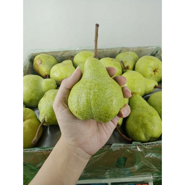 

pir ijo 1kg