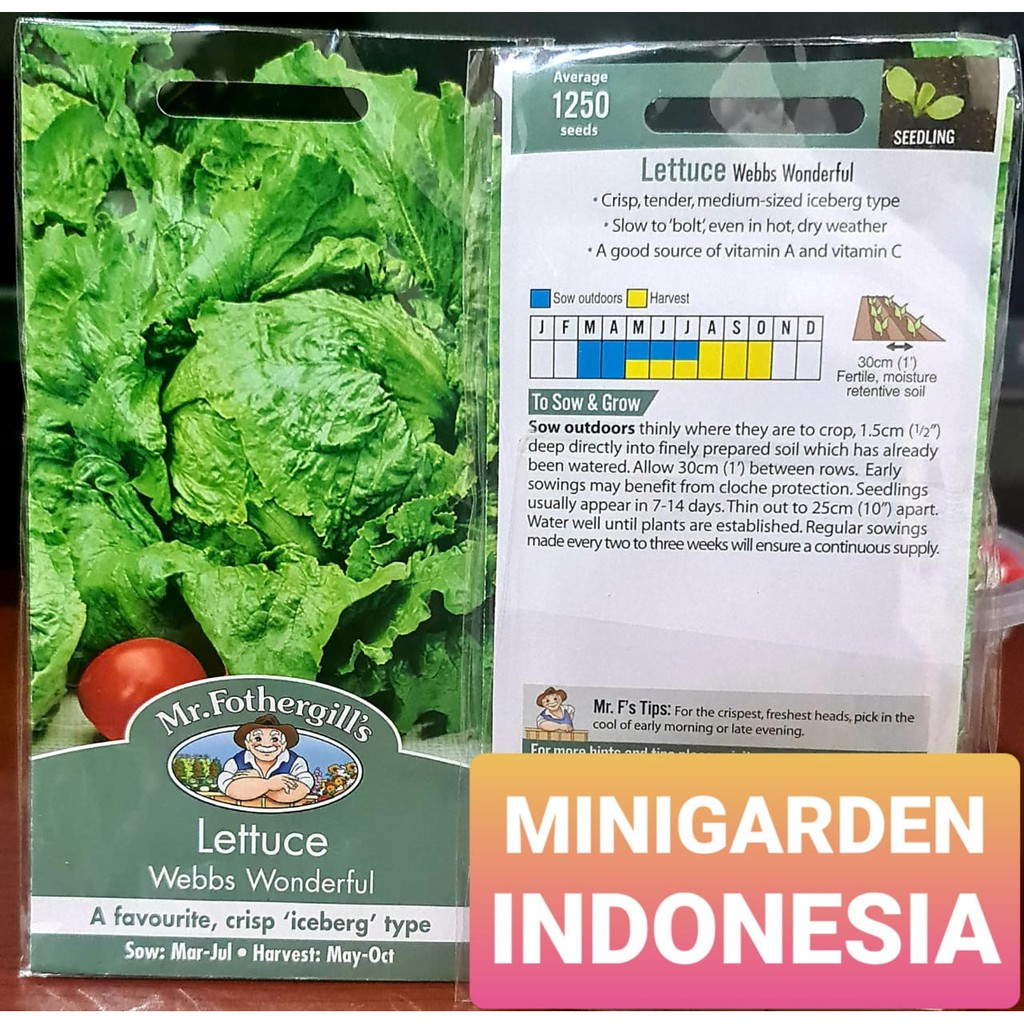 Benih Selada hijau LETTUCE WEBBS WONDERFUL PACK 1250 BIJI bibit sayur selada hidroponik F1 Mr Fothergills