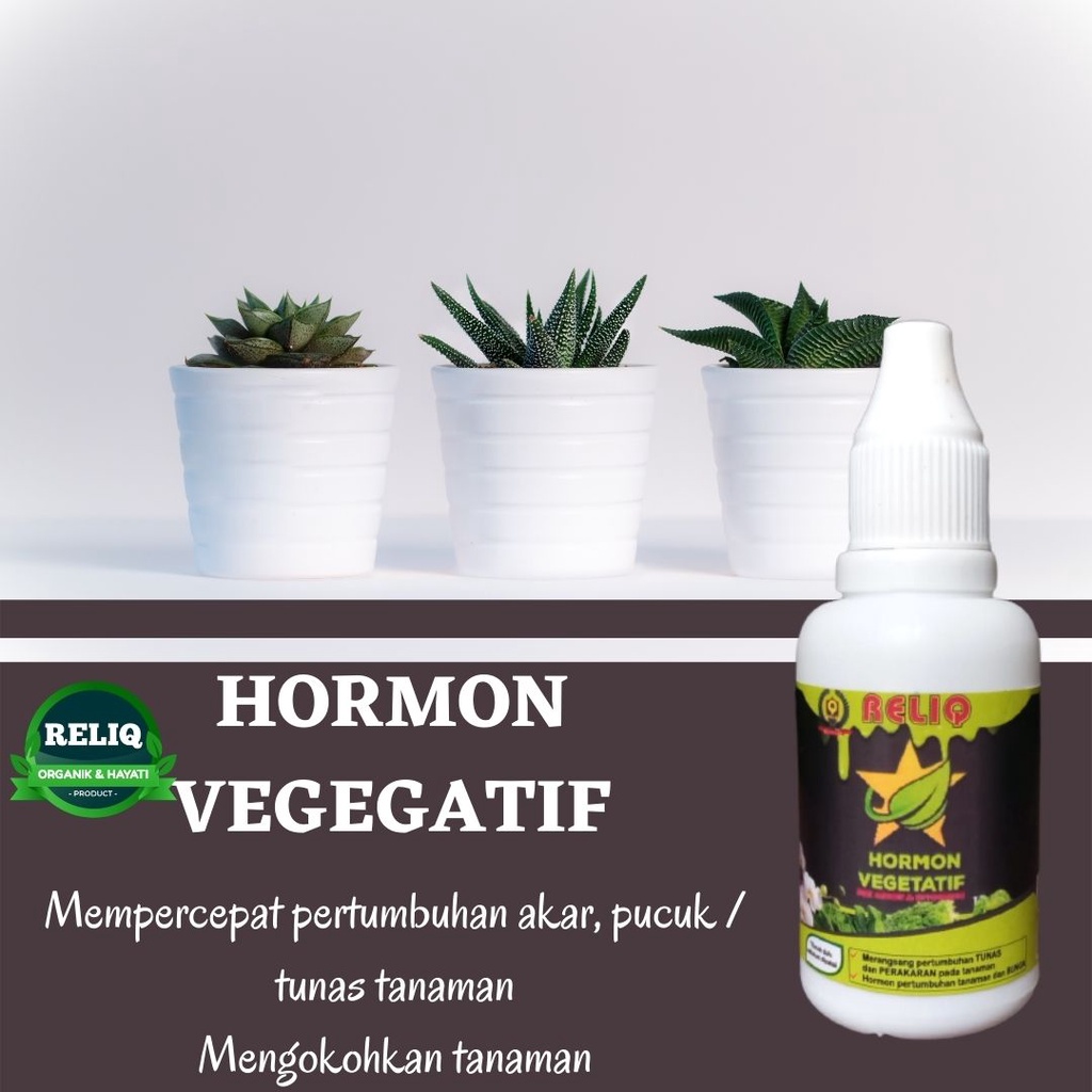 Pupuk Hormon Nutrisi Tanaman Fase Vegetatif, RELIQ Zpt Hormon Penumbuh Akar Stek Cangkok