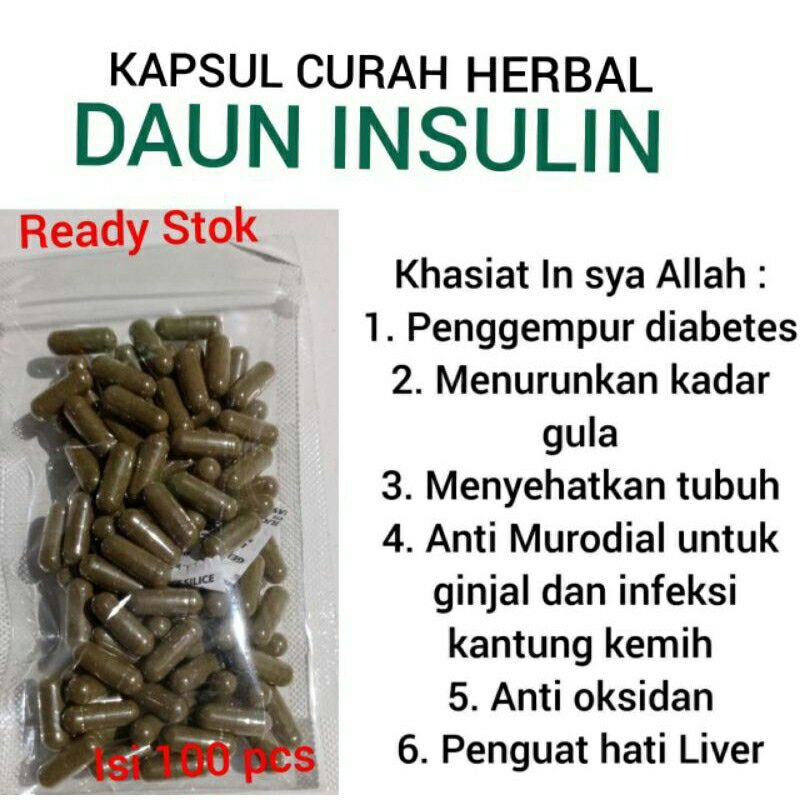 

KAPSUL CURAH HERBAL DAUN INSULIN