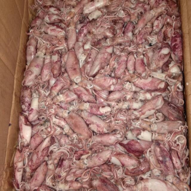 

Lagi promo Cumi cumi telor / cumi cumi bertelor