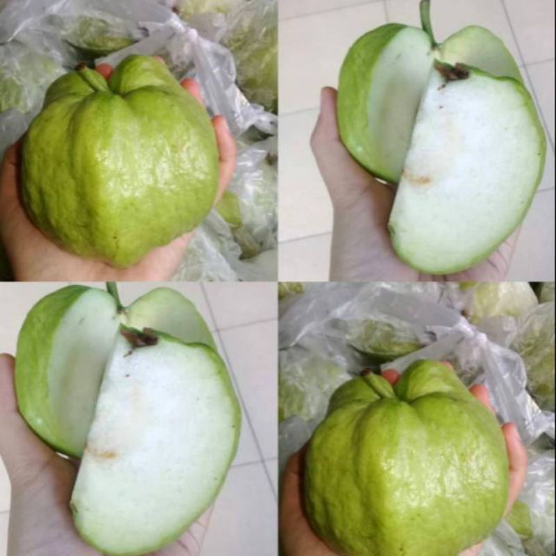

JAMBU KRISTAL KRES 1 KG GRADE A