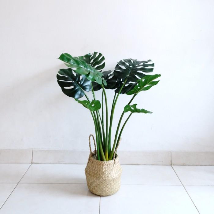 Tanaman Palsu Monstera / Pohon Plastik Latex