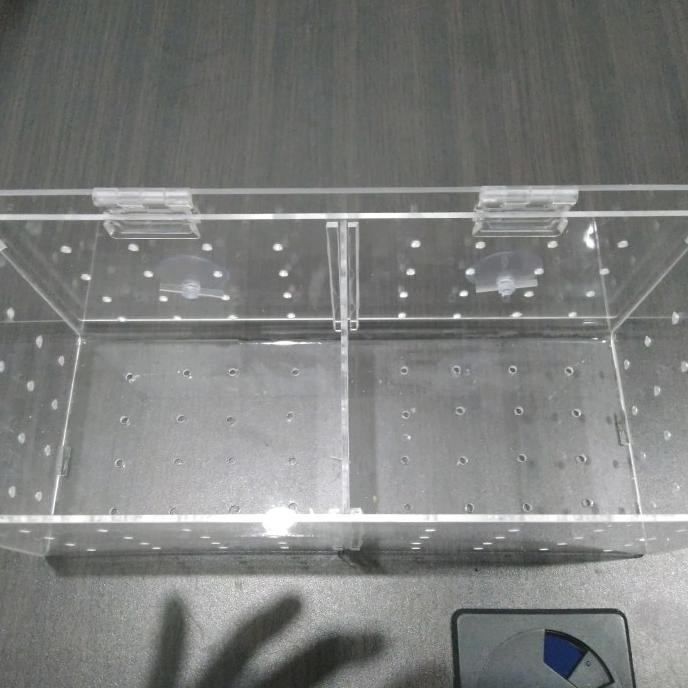 Box Aklimasi Untuk Ikan Laut Dan Ikan Air Tawar